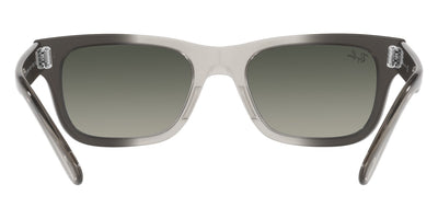 Ray-Ban® Mr BuRBank RB2283F   Sunglasses