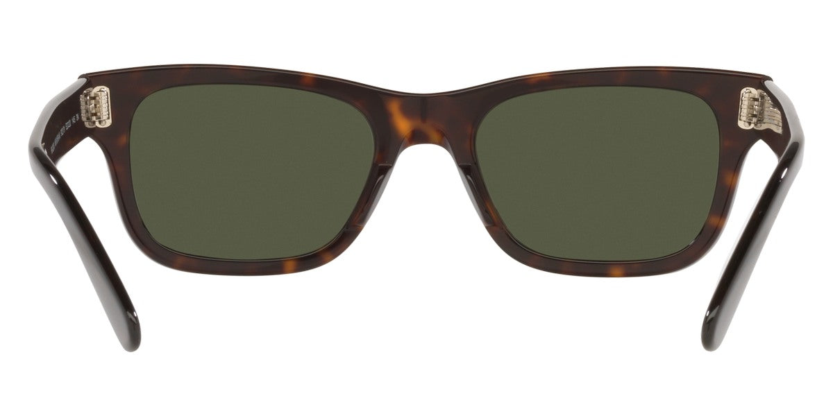 Ray-Ban® Mr BuRBank RB2283F   Sunglasses