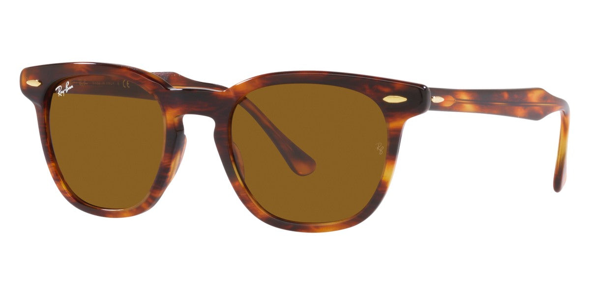 Ray-Ban® Hawkeye RB2298   Sunglasses