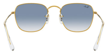 Ray-Ban® Frank RB3857   Sunglasses