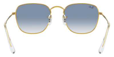 Ray-Ban® Frank RB3857   Sunglasses