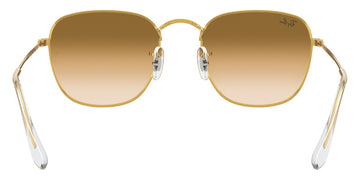 Ray-Ban® Frank RB3857   Sunglasses