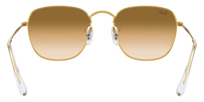 Ray-Ban® Frank RB3857   Sunglasses