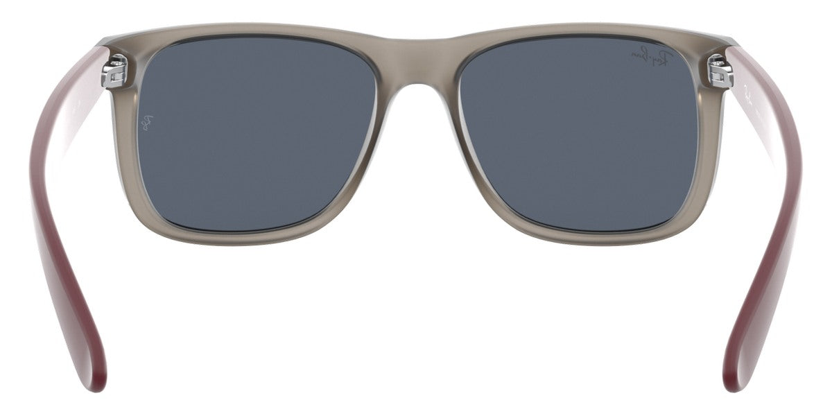 Ray-Ban® Justin RB4165   Sunglasses