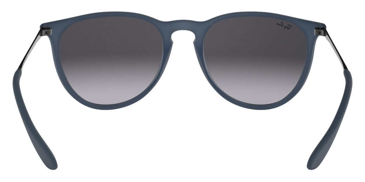 Ray-Ban® Erika RB4171   Sunglasses