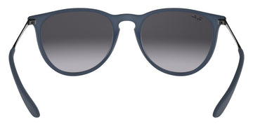 Ray-Ban® Erika RB4171   Sunglasses