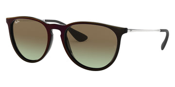 Ray-Ban® Erika RB4171   Sunglasses