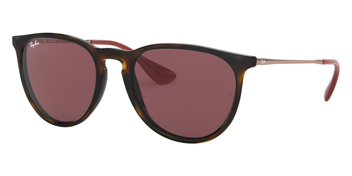 Ray-Ban® Erika RB4171   Sunglasses