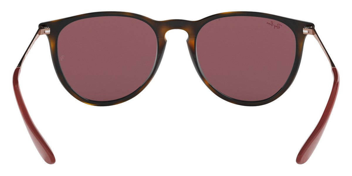 Ray-Ban® Erika RB4171   Sunglasses