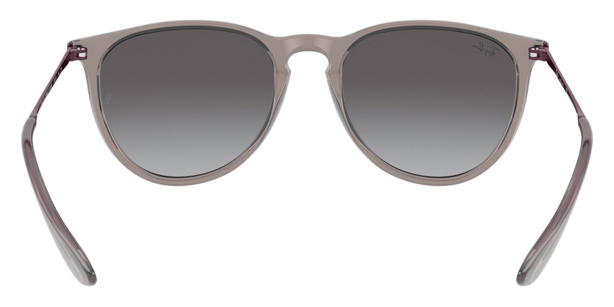 Ray-Ban® Erika RB4171   Sunglasses