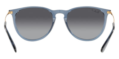 Ray-Ban® Erika RB4171   Sunglasses