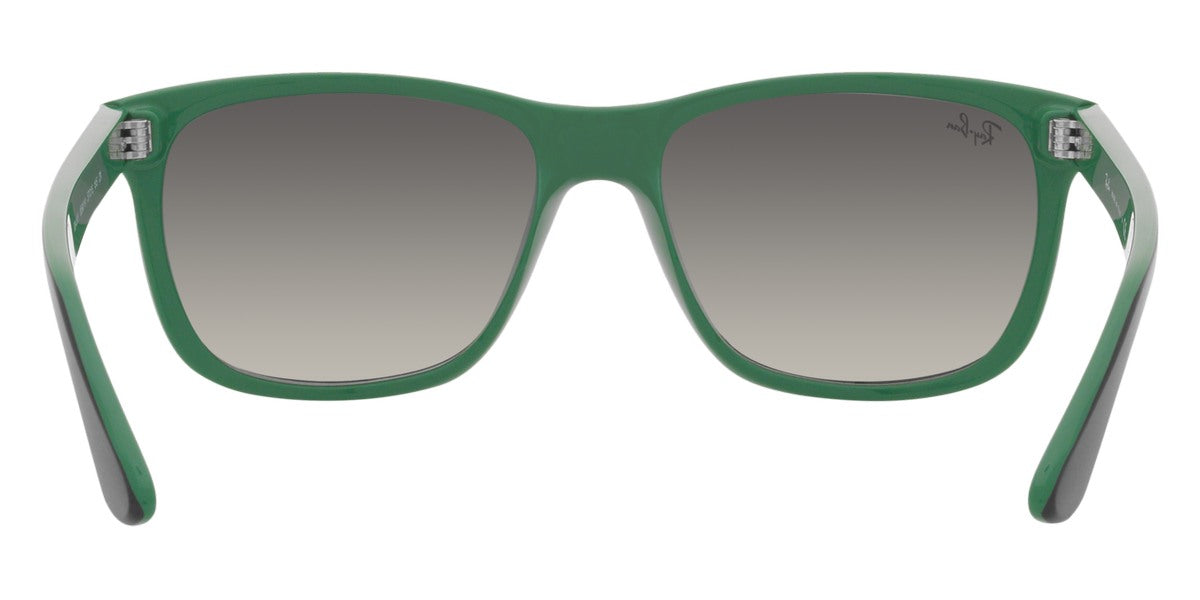 Ray-Ban® RB4181   Sunglasses