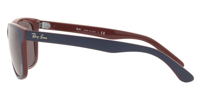 Ray-Ban® RB4181   Sunglasses