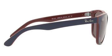 Ray-Ban® RB4181   Sunglasses