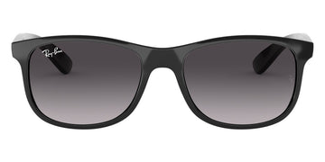 Ray-Ban® Andy RB4202   Sunglasses