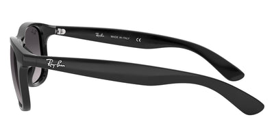 Ray-Ban® Andy RB4202   Sunglasses