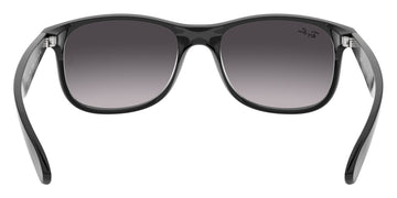 Ray-Ban® Andy RB4202   Sunglasses