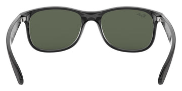 Ray-Ban® Andy RB4202   Sunglasses