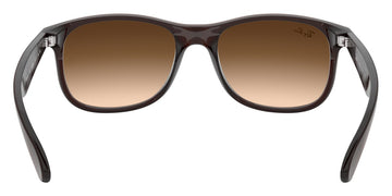 Ray-Ban® Andy RB4202   Sunglasses