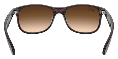 Ray-Ban® Andy RB4202   Sunglasses