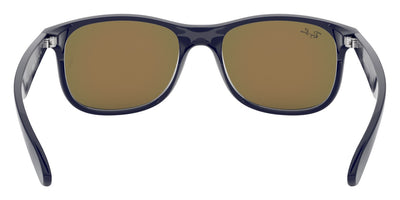 Ray-Ban® Andy RB4202   Sunglasses