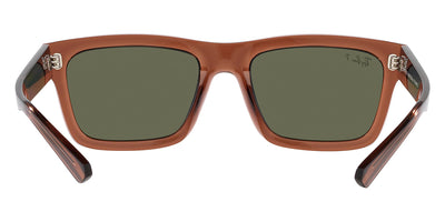 Ray-Ban® Warren RB4396   Sunglasses