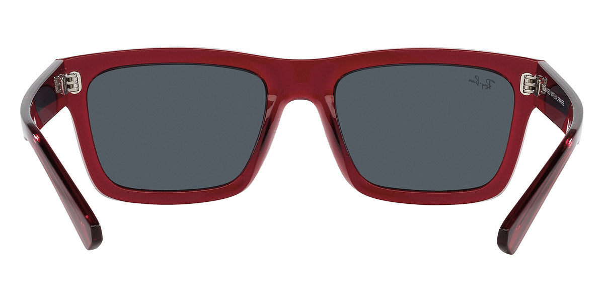 Ray-Ban® Warren RB4396   Sunglasses