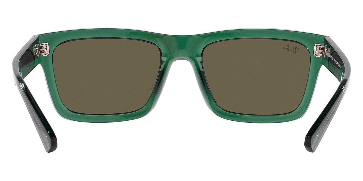 Ray-Ban® Warren RB4396   Sunglasses