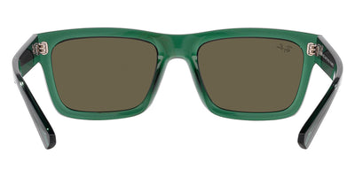 Ray-Ban® Warren RB4396   Sunglasses