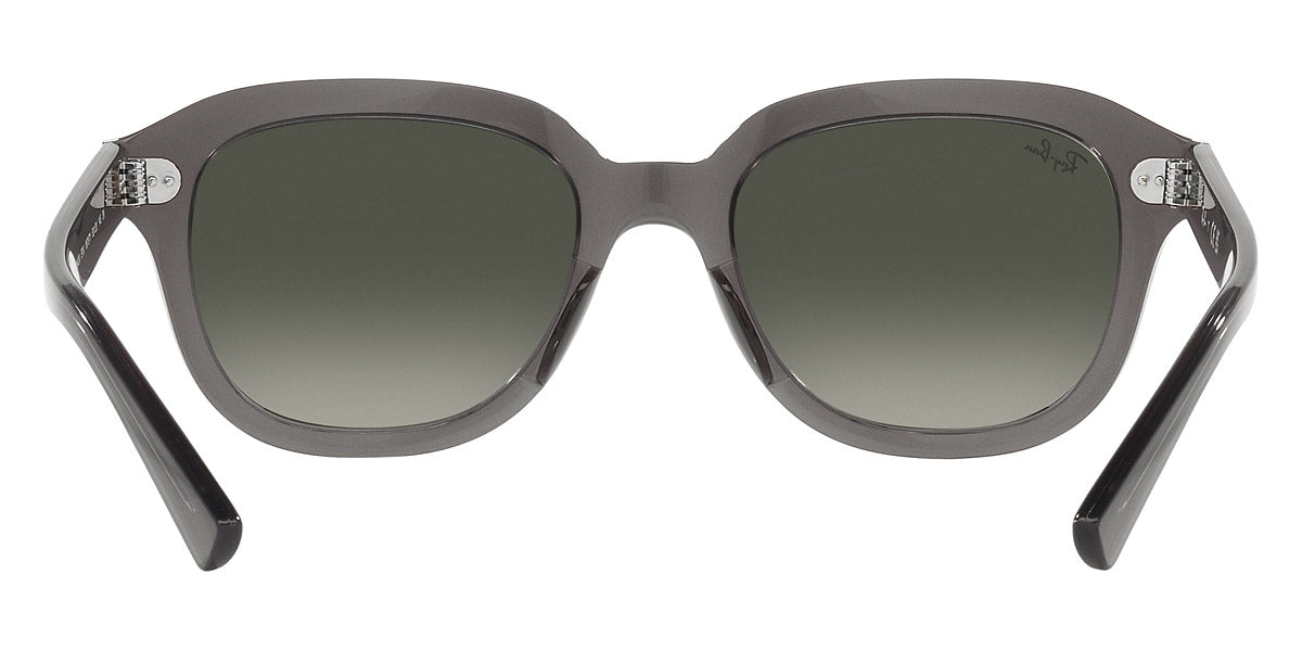 Ray-Ban® Erik RB4398   Sunglasses