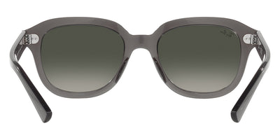 Ray-Ban® Erik RB4398   Sunglasses