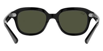 Ray-Ban® Erik RB4398   Sunglasses