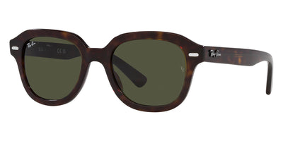 Ray-Ban® Erik RB4398   Sunglasses