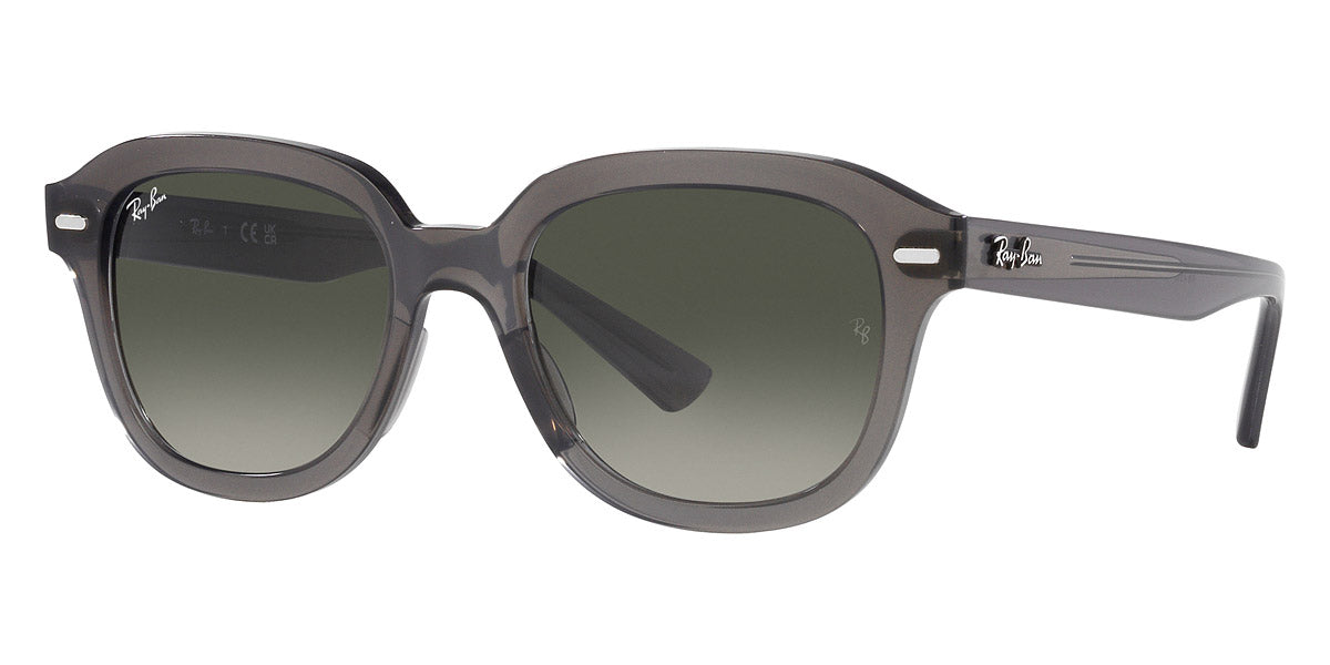 Ray-Ban® Erik RB4398F   Sunglasses