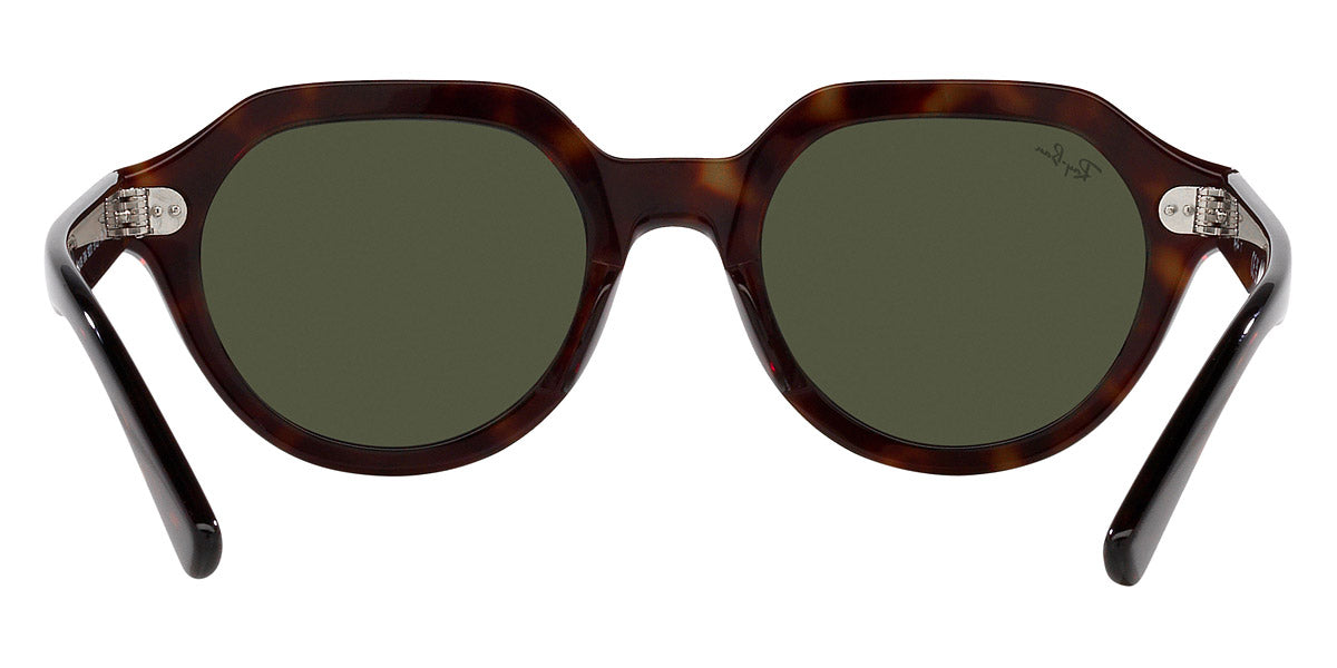 Ray-Ban® Gina RB4399   Sunglasses