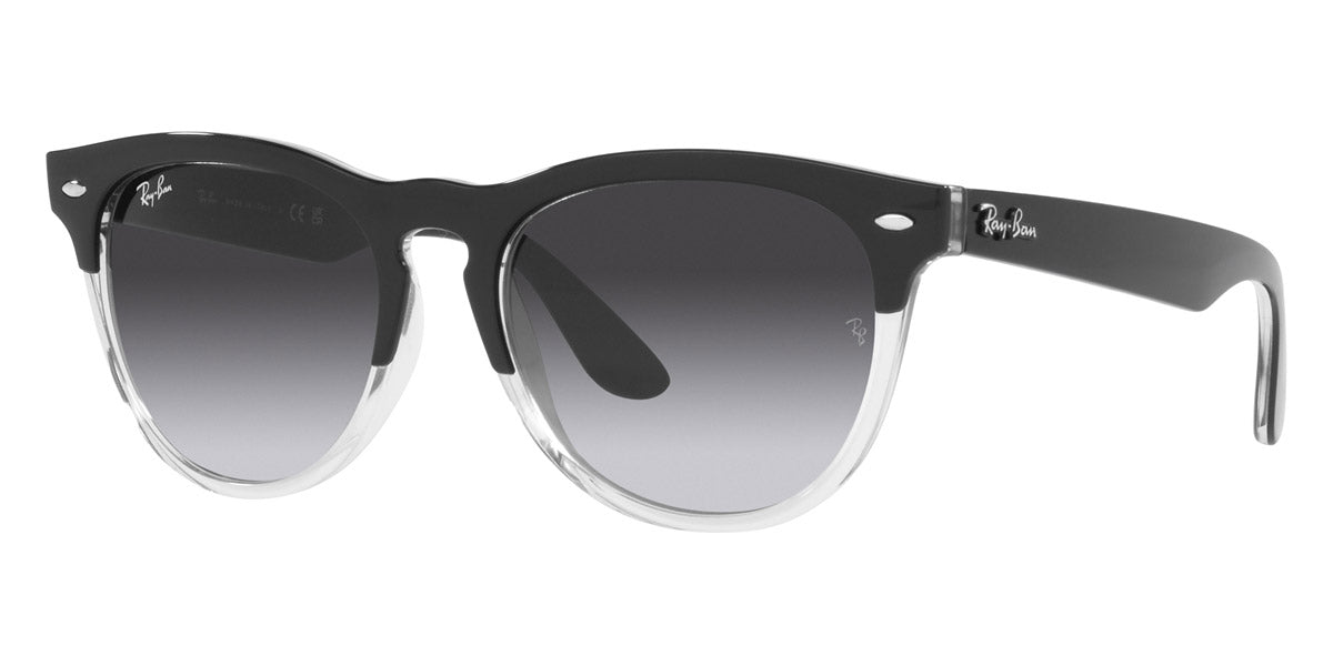 Ray-Ban® Iris RB4471   Sunglasses