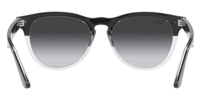 Ray-Ban® Iris RB4471   Sunglasses