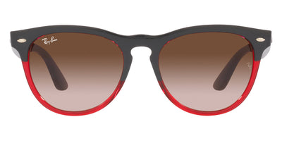 Ray-Ban® Iris RB4471 RB4471 663113 54 - Gray on Transparent Red with Gradient Brown lenses Sunglasses