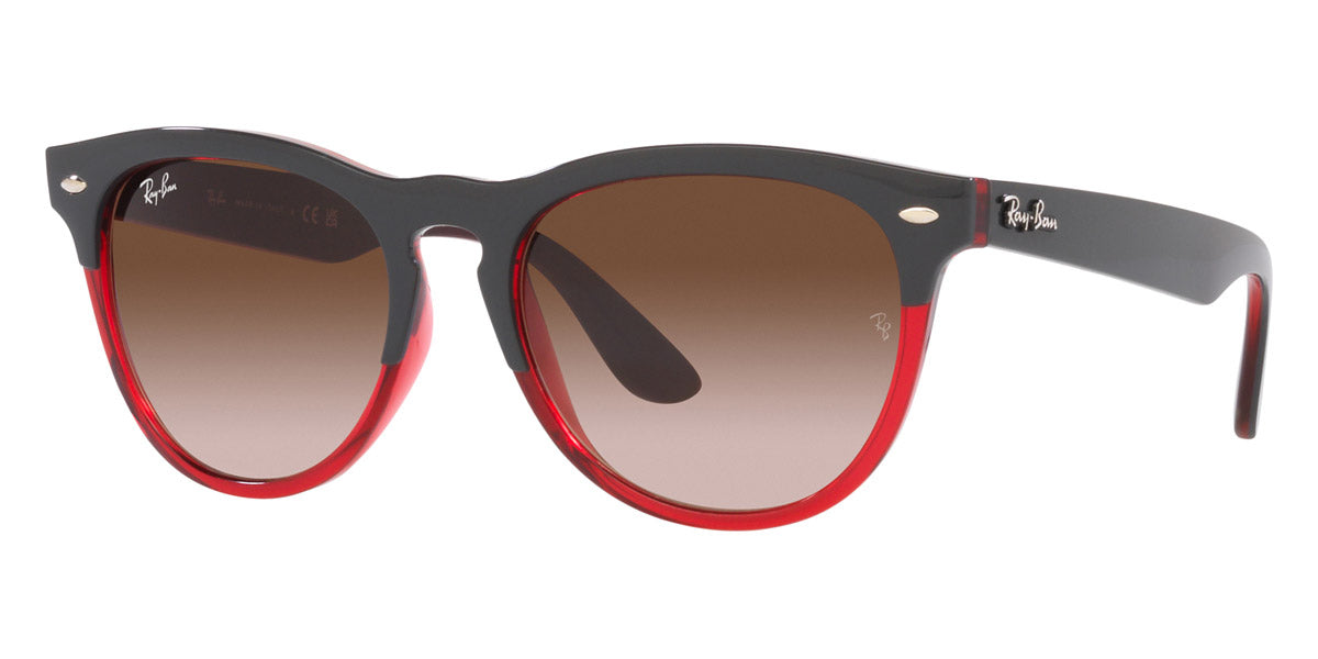 Ray-Ban® Iris RB4471   Sunglasses