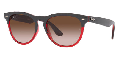 Ray-Ban® Iris RB4471   Sunglasses