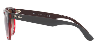 Ray-Ban® Iris RB4471   Sunglasses