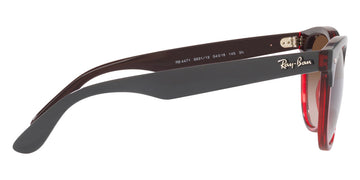 Ray-Ban® Iris RB4471   Sunglasses