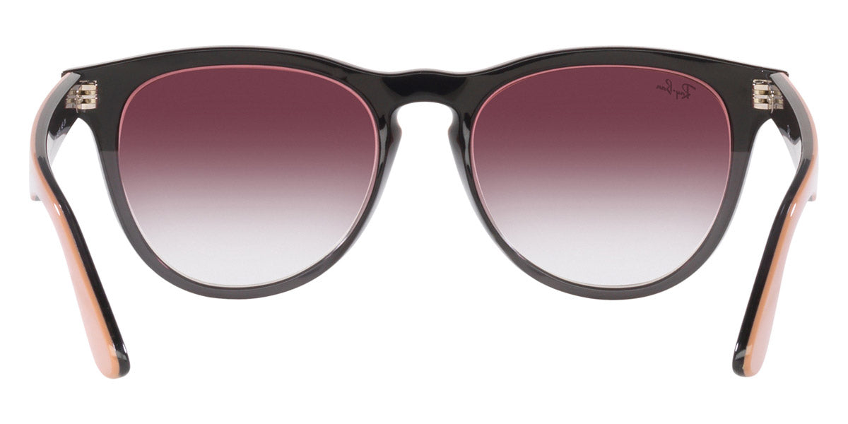 Ray-Ban® Iris RB4471   Sunglasses