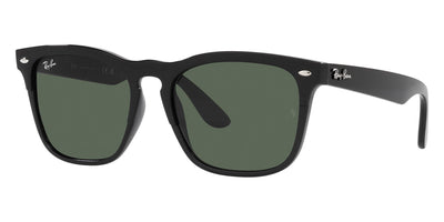 Ray-Ban® Steve RB4487   Sunglasses