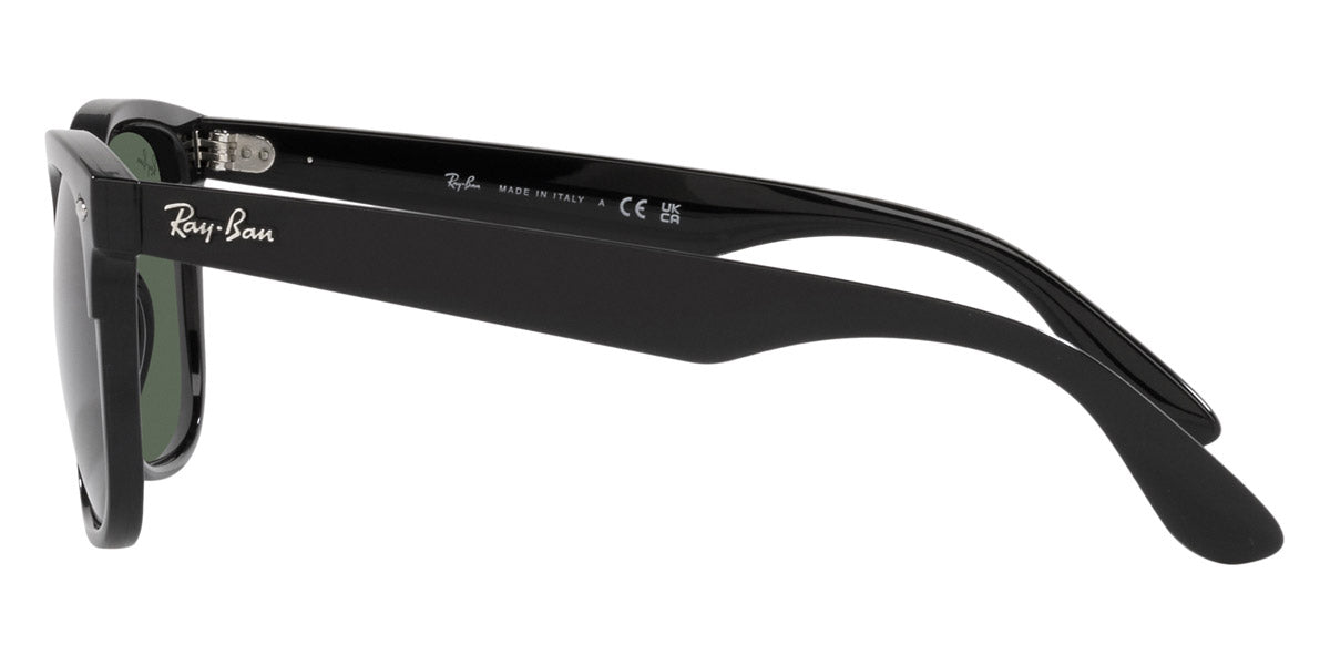 Ray-Ban® Steve RB4487   Sunglasses