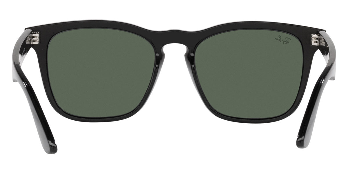 Ray-Ban® Steve RB4487   Sunglasses