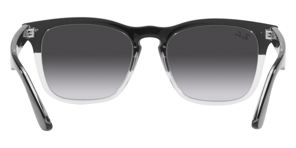 Ray-Ban® Steve RB4487   Sunglasses