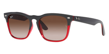 Ray-Ban® Steve RB4487   Sunglasses