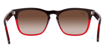 Ray-Ban® Steve RB4487   Sunglasses