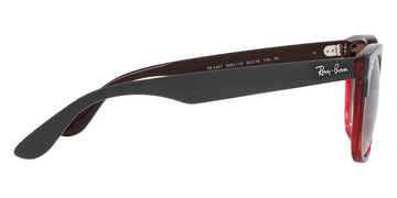 Ray-Ban® Steve RB4487   Sunglasses